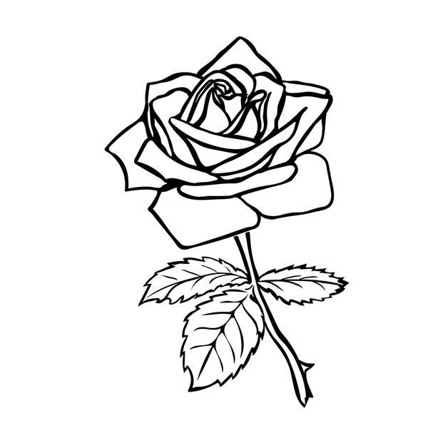 Croquis rose . — Image vectorielle