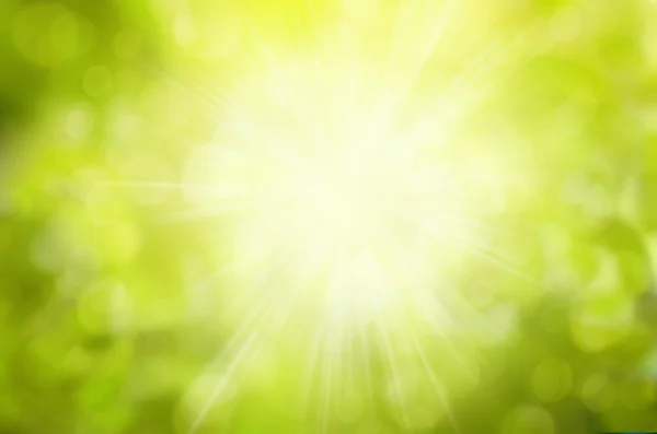 Sunny Green nature background, selective focus — Stock Photo, Image