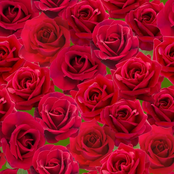 Rose rosse modello senza soluzione di continuità — Foto Stock