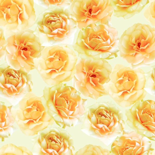 Žluté růže bezešvé vzor — Stock fotografie