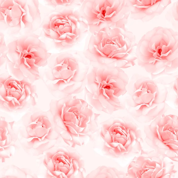 Pink roses seamless pattern — Stock Photo, Image