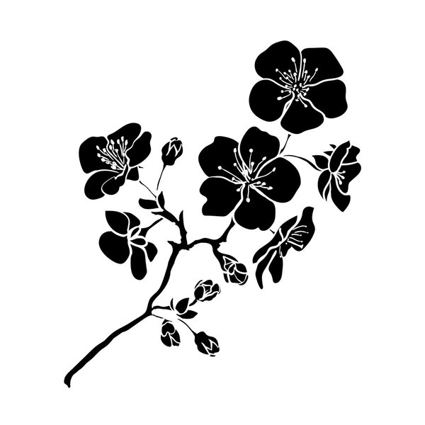 twig cherry blossoms