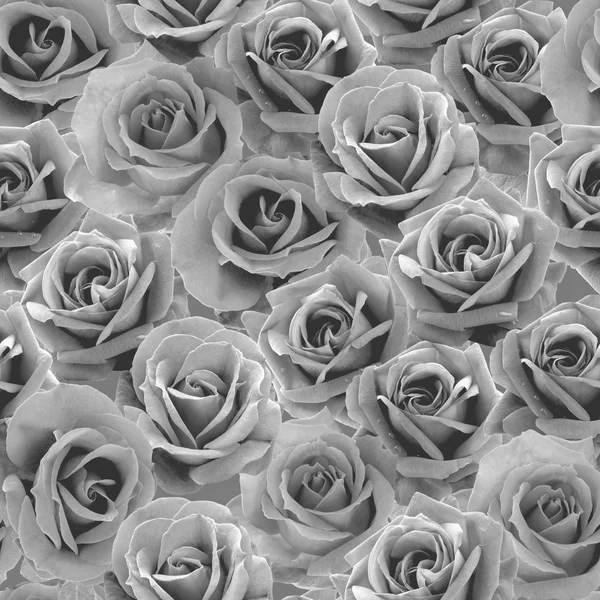 Rosas grises fotos de stock, imágenes de Rosas grises sin royalties |  Depositphotos