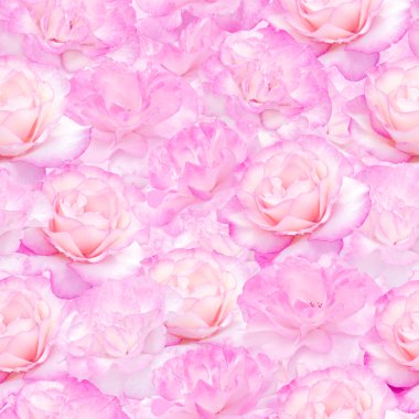 pembe Gül seamless modeli