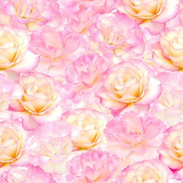 Bezešvé vzor růžové růže — Stock fotografie