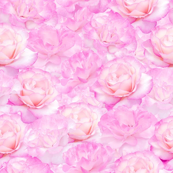 粉红色玫瑰无缝模式 — 图库照片