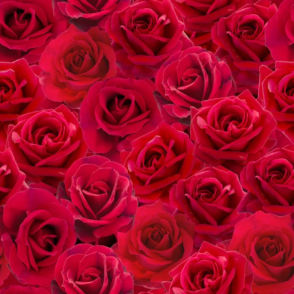 Red roses seamless pattern — Stock Photo, Image