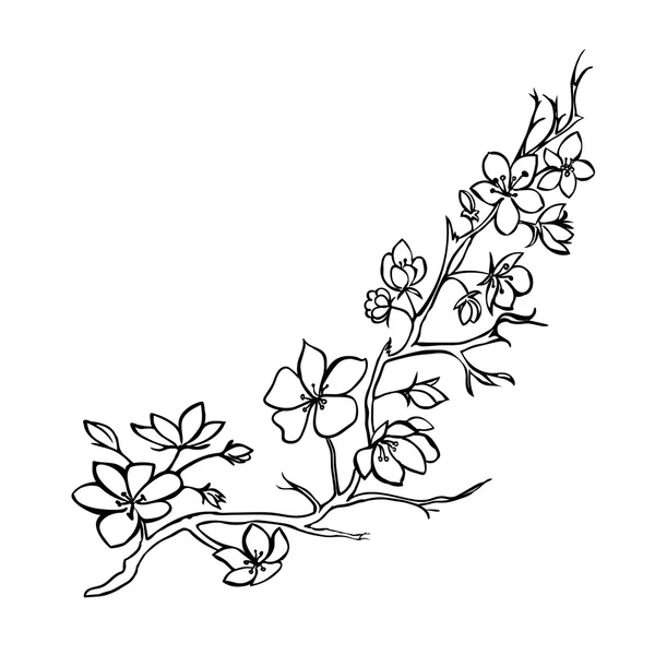 Twig kersenbloesem — Stockvector