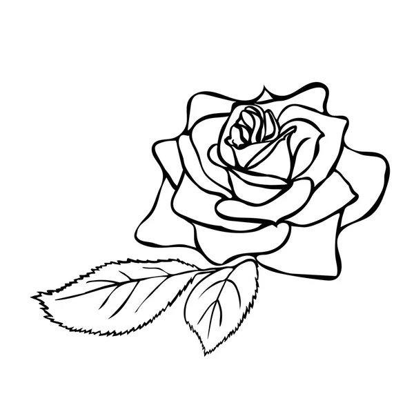 Croquis rose . — Image vectorielle