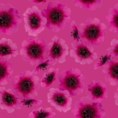 Kırmızı kurtpençesi seamless modeli