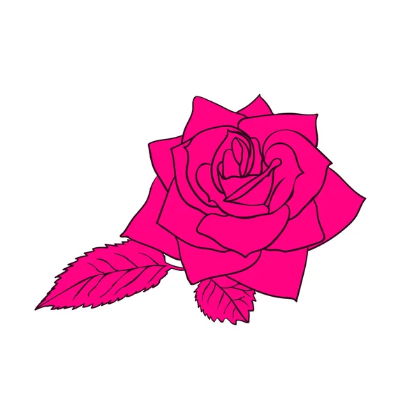 Rose sketch — Stock Vector