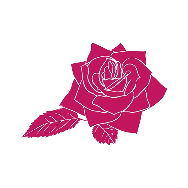 Croquis rose — Image vectorielle