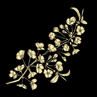 dal kiraz çiçekleri