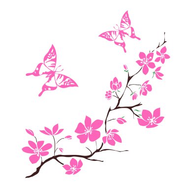 twig cherry blossoms  clipart