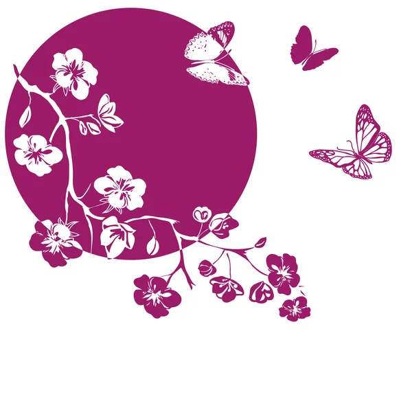 Rameaux fleurs de cerisier — Image vectorielle