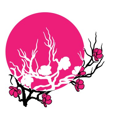 dal kiraz çiçekleri 