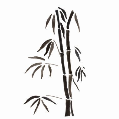 Bamboo branches isolated on the white background.  clipart