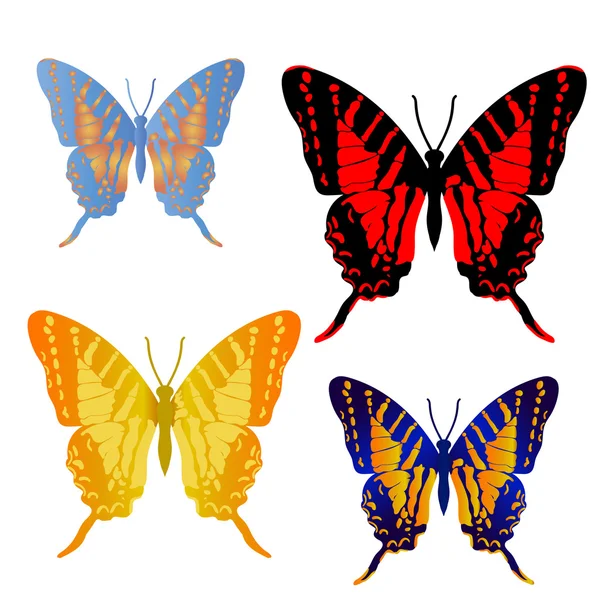 Conjunto mariposa — Vector de stock