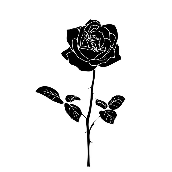 Silhouette der Rose — Stockvektor
