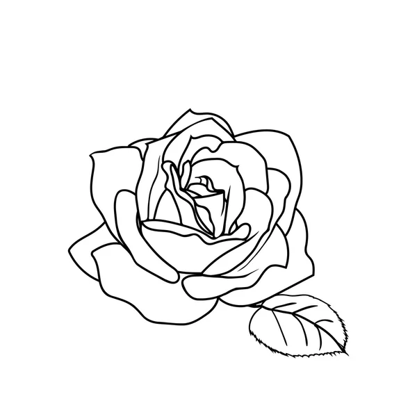 Croquis rose . — Image vectorielle