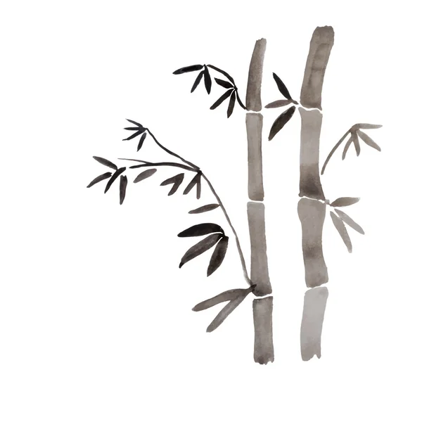 Bamboo branches isolated on the white background. — Stock Vector