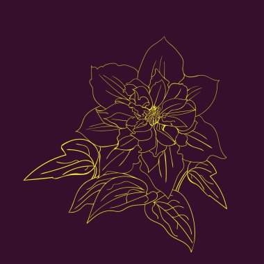 Terry çiçek akasma kroki.