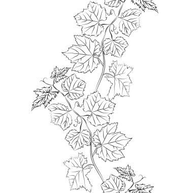 Yaprak arka plan. Çiçek sorunsuz doku üzüm ile.