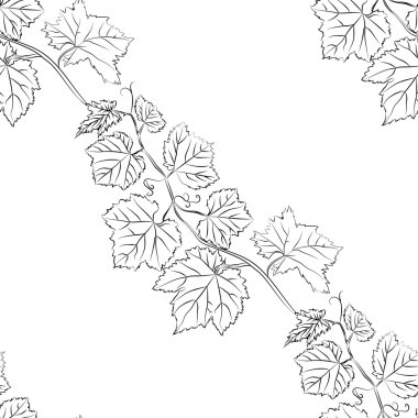 Yaprak arka plan. Çiçek sorunsuz doku üzüm ile.