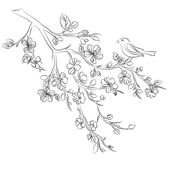 Twig kersenbloesem en vogel — Stockvector