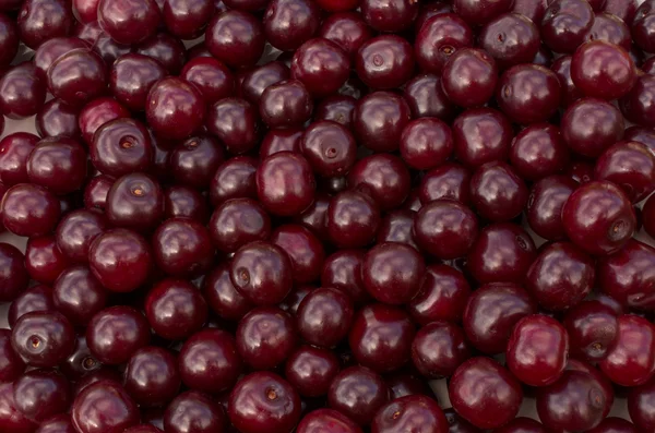 Background from ripe fresh red cherries — Stock Photo, Image