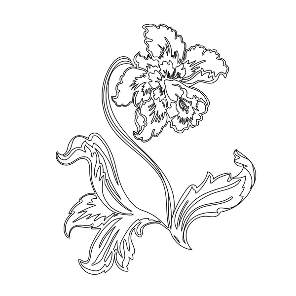 Bloemen narcissus — Stockvector