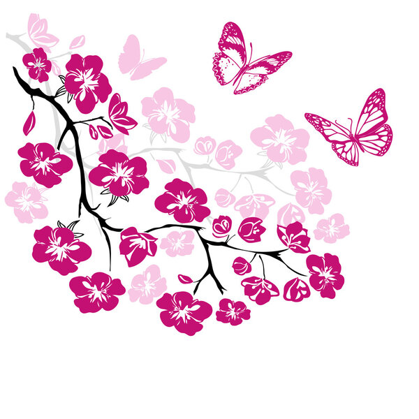 twig cherry blossoms and butterflies