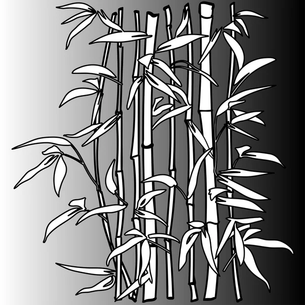 Bambusblatt Hintergrund. die Spitze des Bambus. — Stockvektor