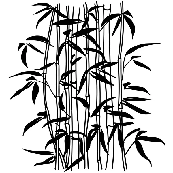 Бамбуковый лист фона. Вершина бамбука . — стоковый вектор