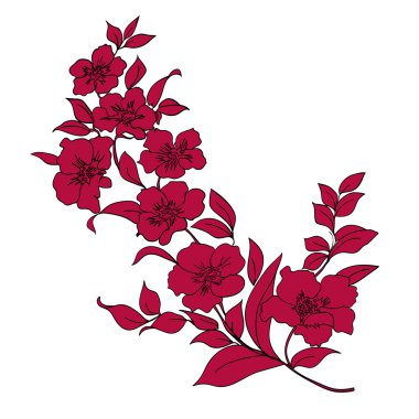 dal kiraz çiçekleri 