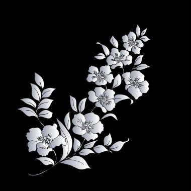 dal kiraz çiçekleri