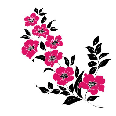 dal kiraz çiçekleri 