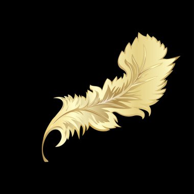 Dekoratif Kuş tüyü