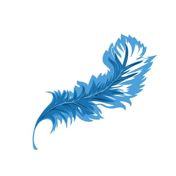 Decorative Feather — Stock Vector