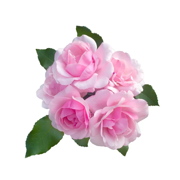 Букет нежных розовых роз — стоковое фото