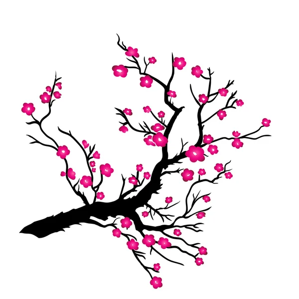 Japanska plum blossom — Stock vektor