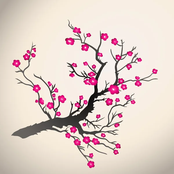 Japanese plum blossom — Stock Vector