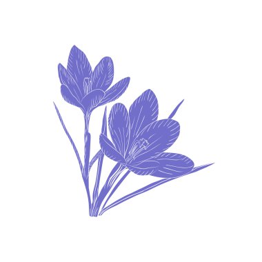 Bitkisi çiçeği. Zarif vintage kartı. Vektör çizim.