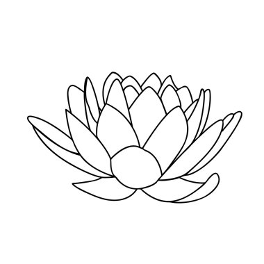 Lotus çiçekleri simgesi