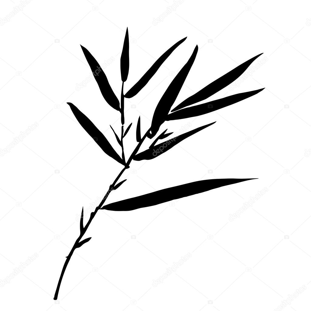 Bamboo leaf background. The top of the bamboo.