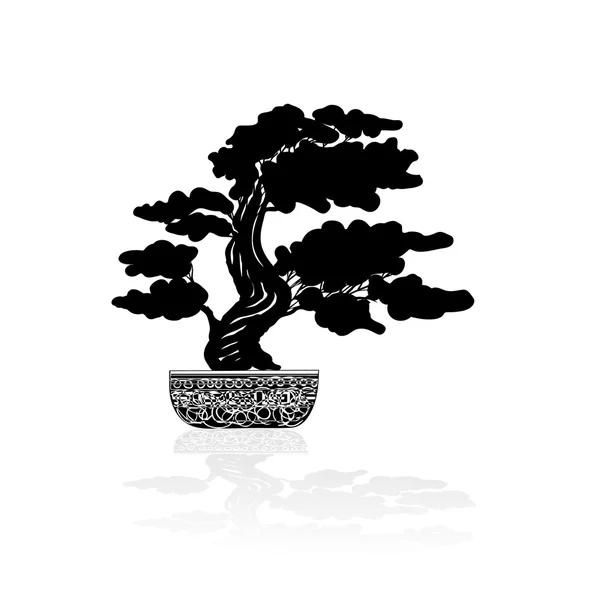 Silueta Bonsai sobre fondo blanco — Archivo Imágenes Vectoriales