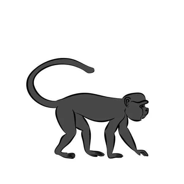 Обезьяна сидит на ветке Лицензионные Стоковые Векторы