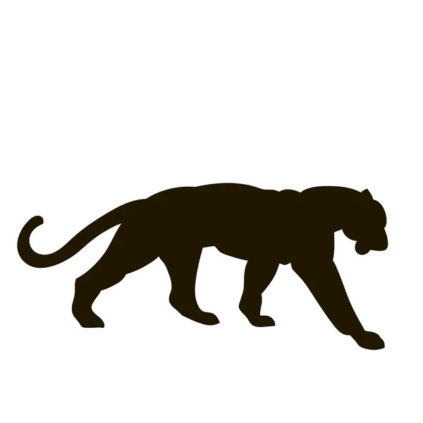 Illustration vectorielle de tigre — Image vectorielle