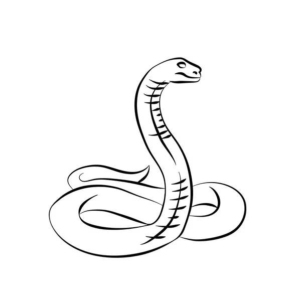 Vector. Serpiente negra . — Vector de stock