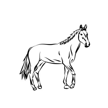 vektör siluet. karikatür at.